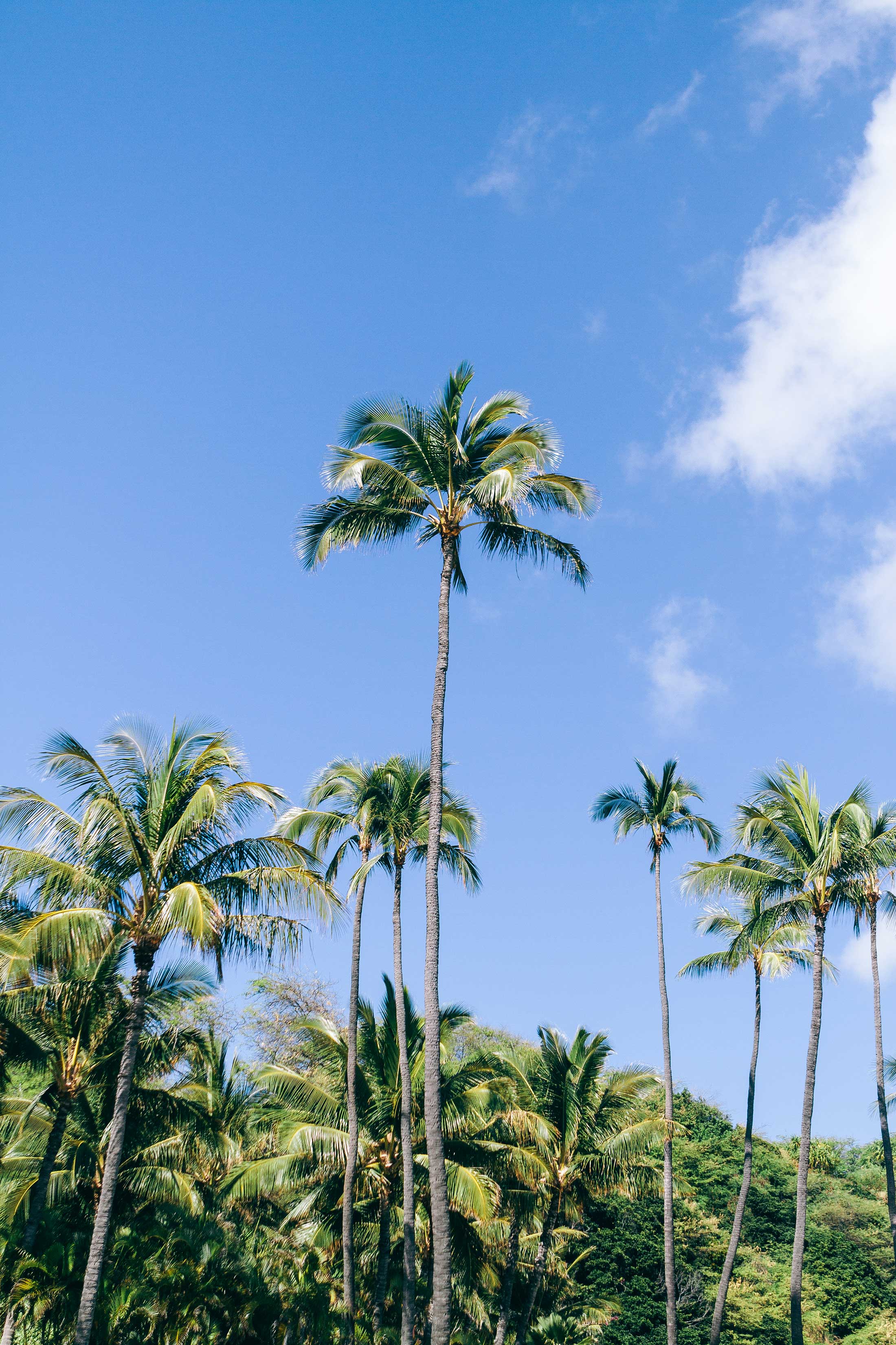 Hawaii Travel Diary