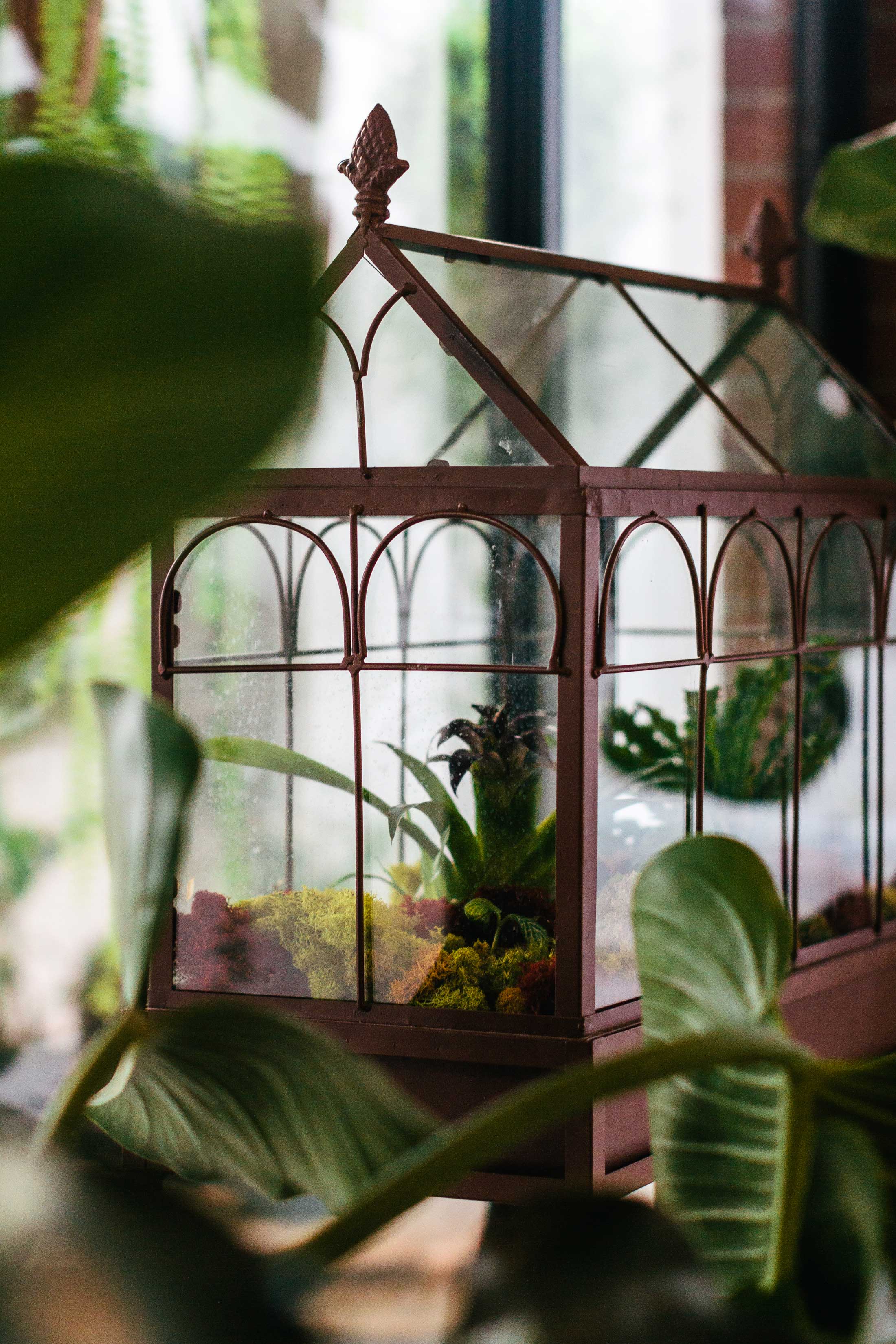 Miniature green house
