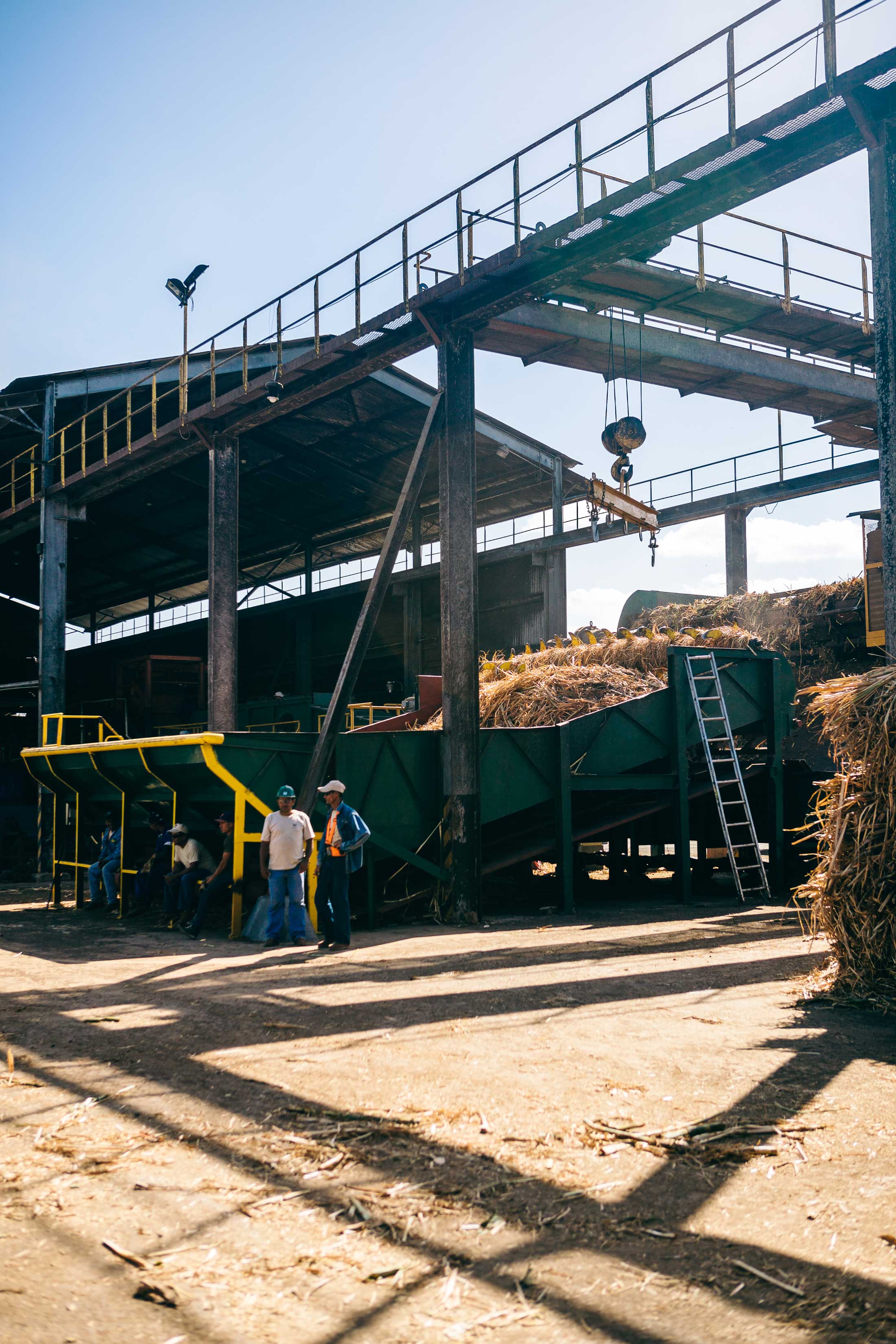 Cane processing in Panama