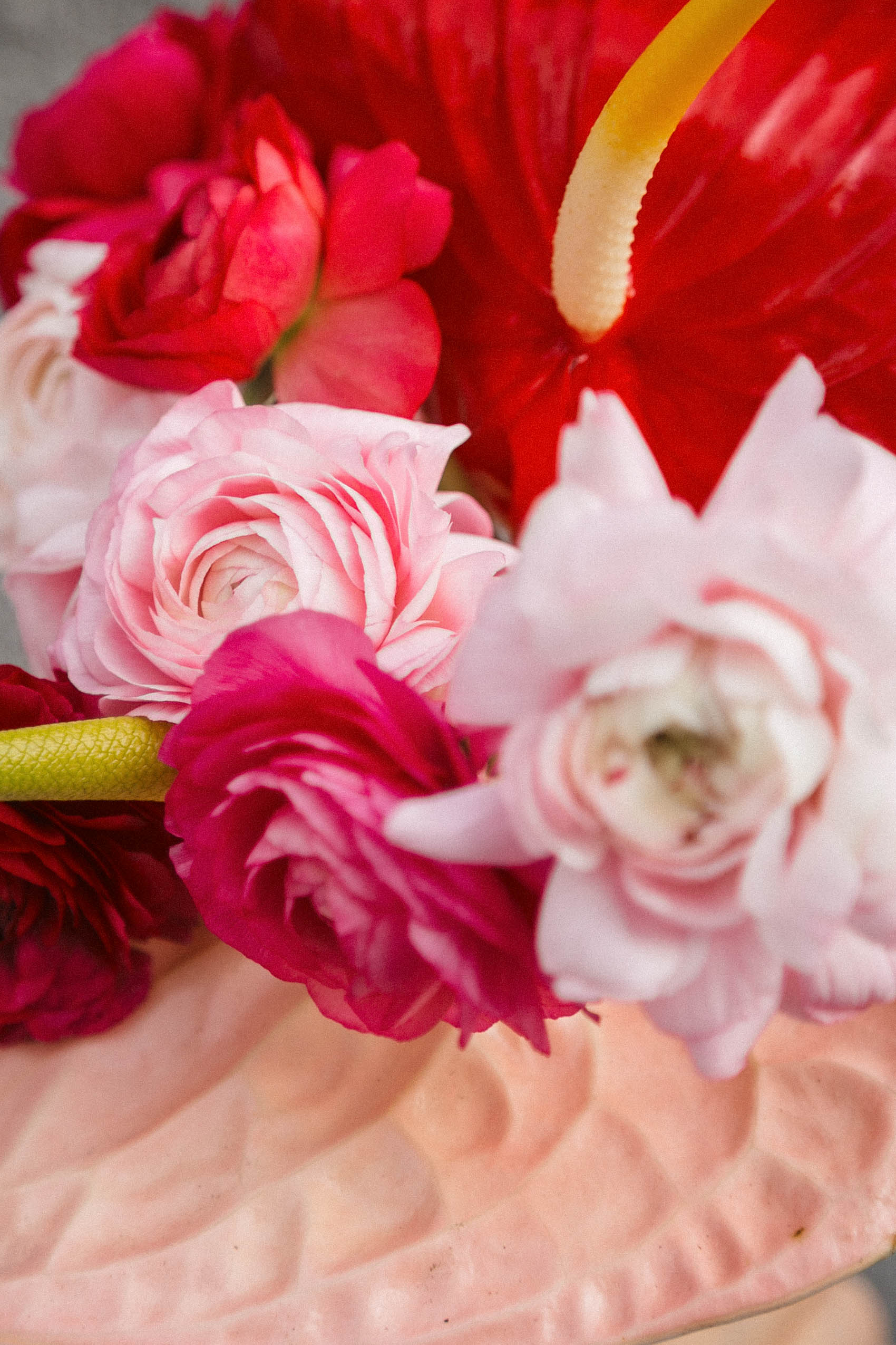 Ranunculus and anthurium flowers in pinks and reds