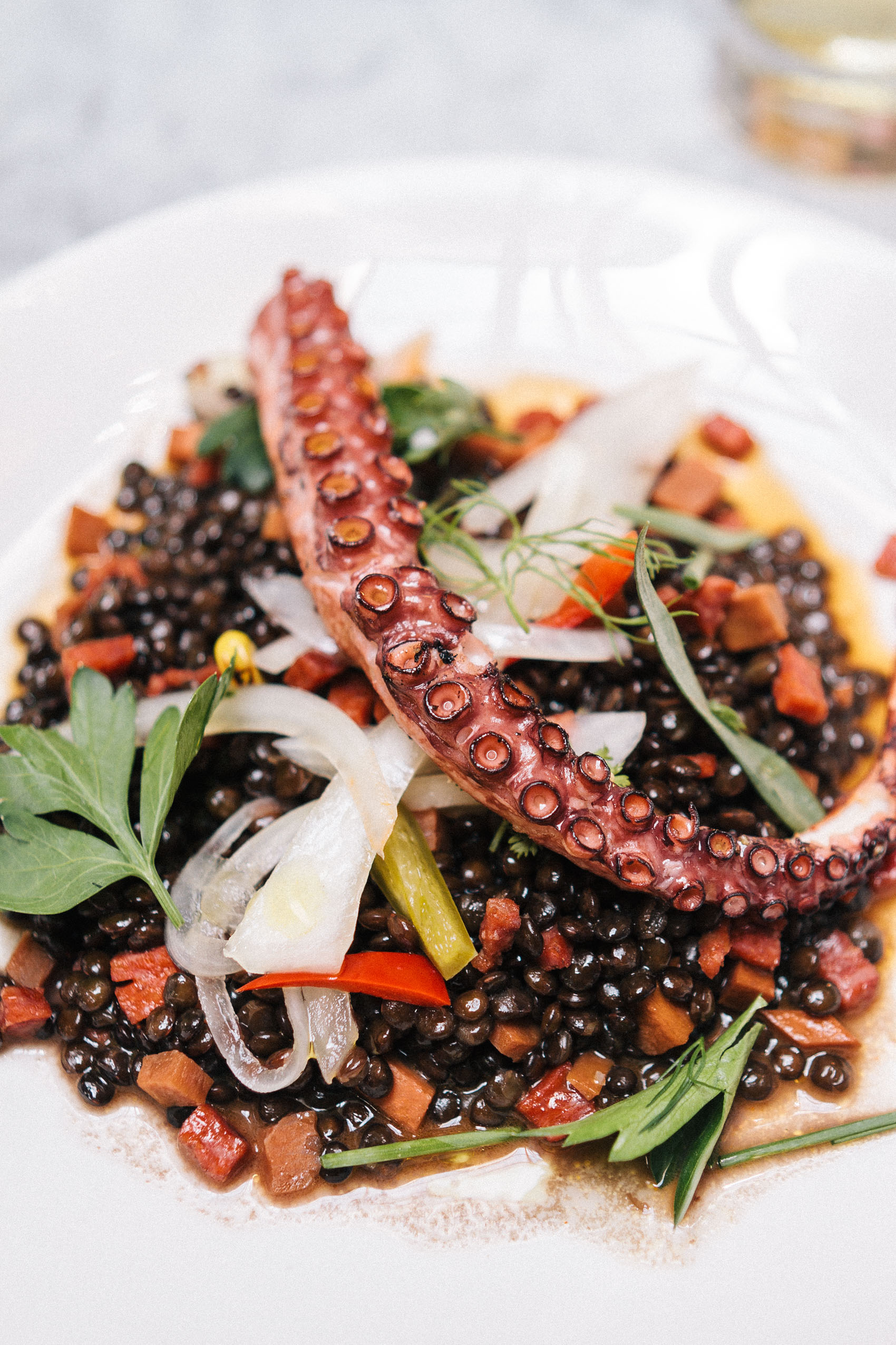Octopus and lentil salad at Salt Air restaurant in Venice Beach