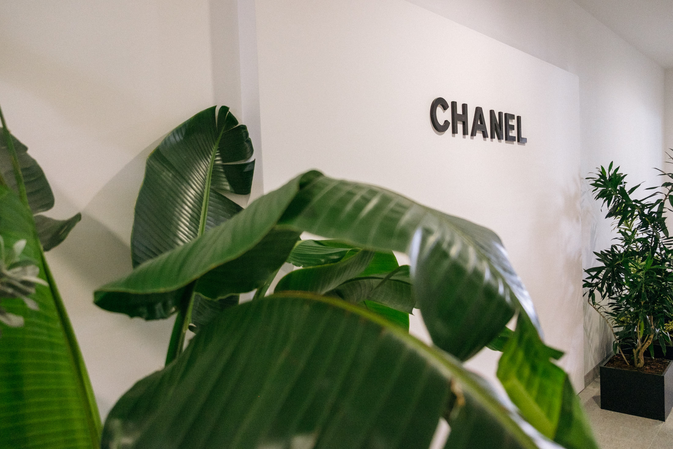 Chanel foyer Latin America Panama