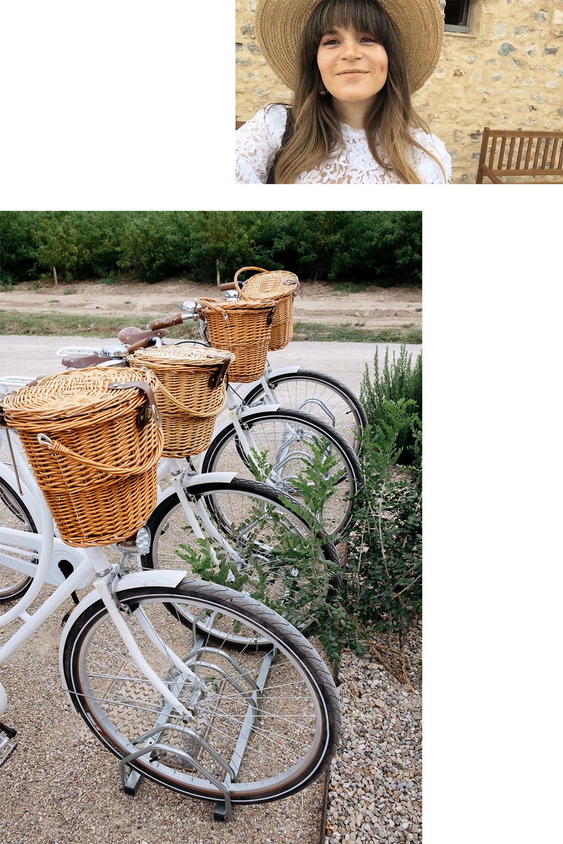 Blog photo collage with bicycles in the Chanel fields of Grasse, France