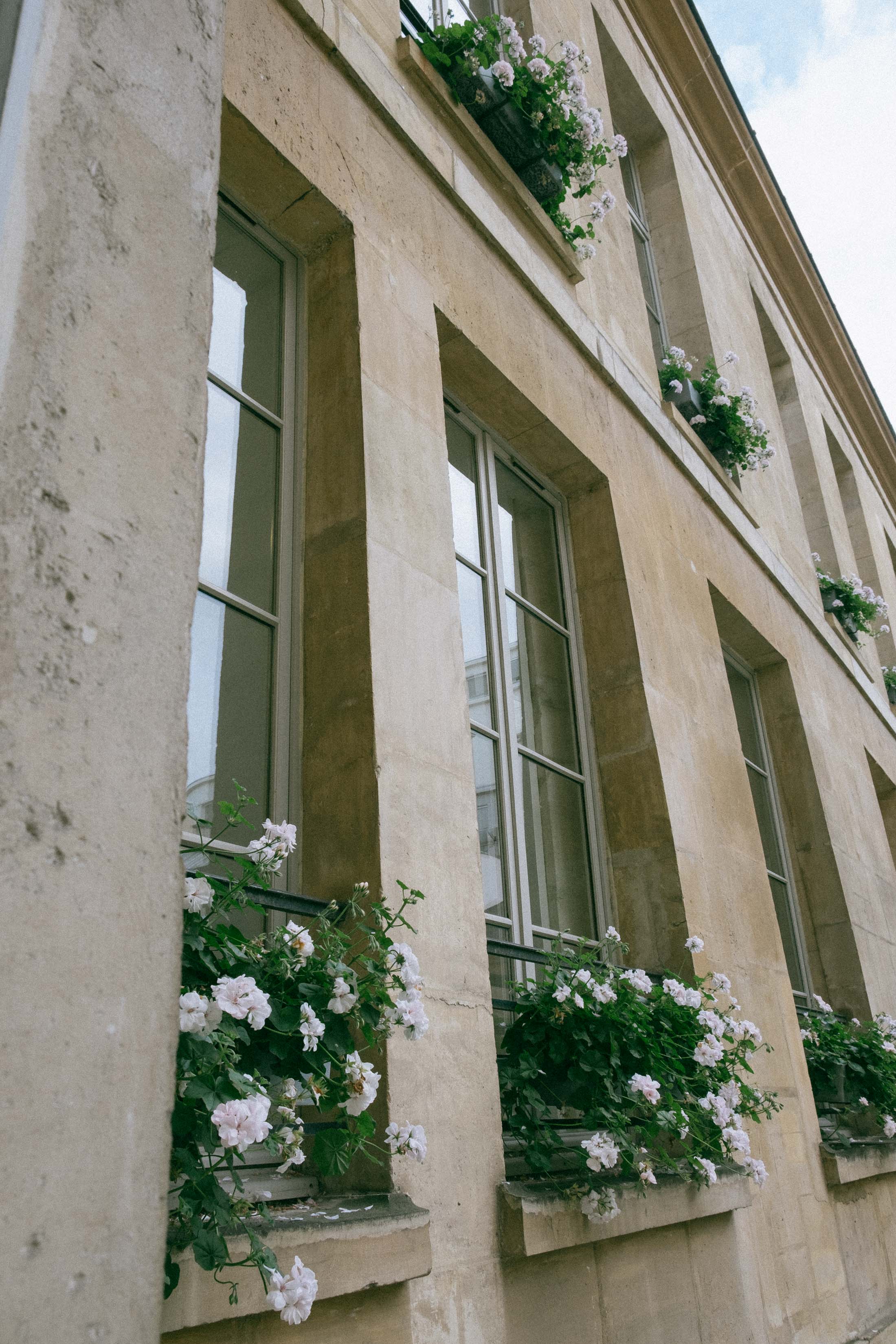 Parisian windows with flowers
